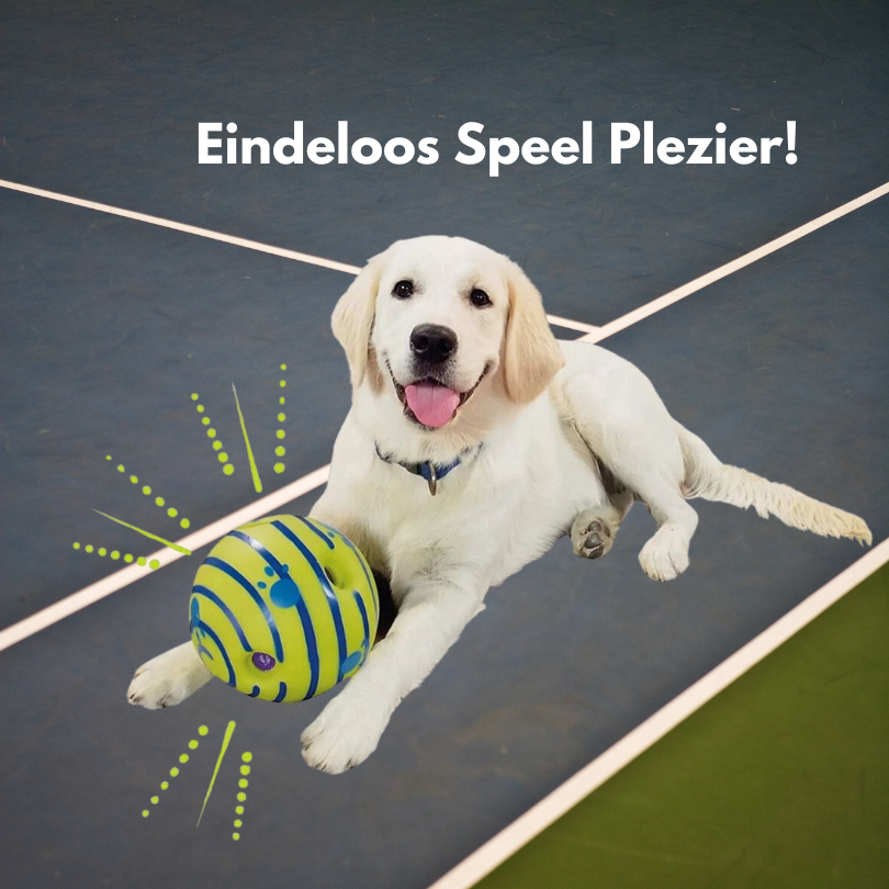 Wobbie Doggy Bal 🐶 | 1+1 Gratis!