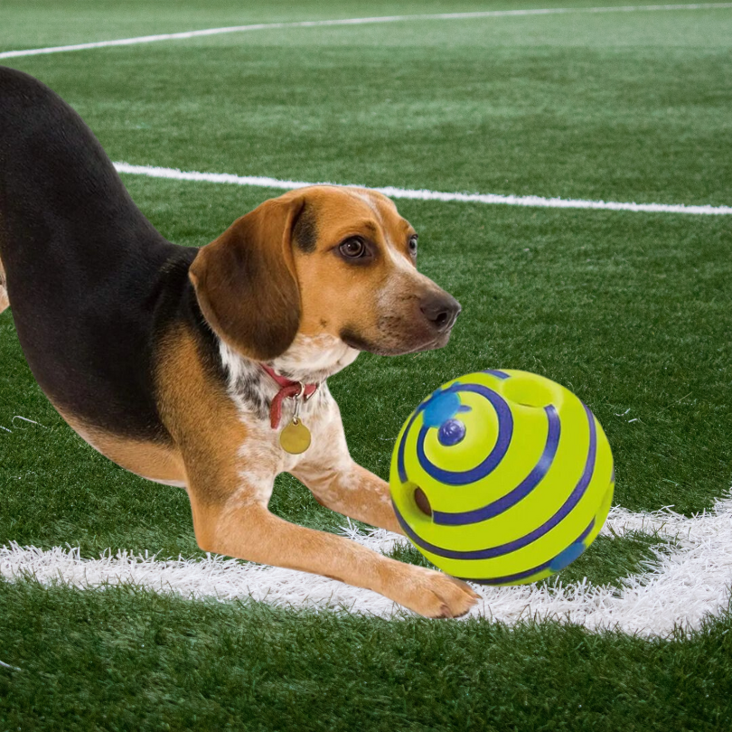 Wobbie Doggy Bal 🐶 | 1+1 Gratis!