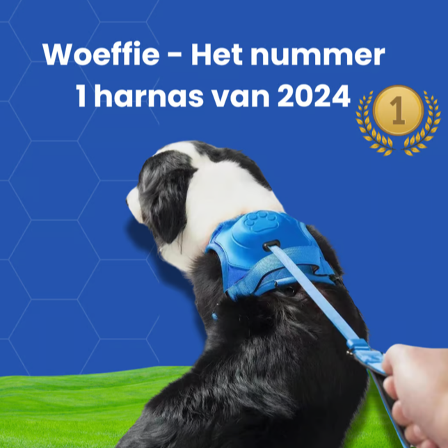 Woeffie Harnas