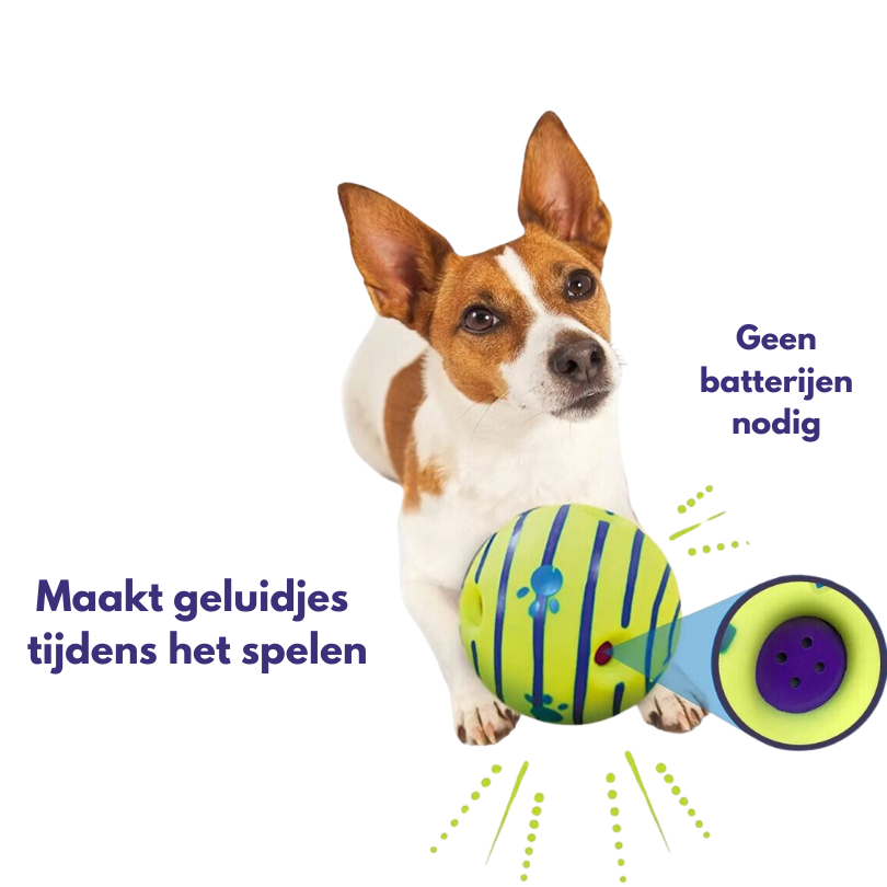 Wobbie Doggy Bal 🐶 | 1+1 Gratis!