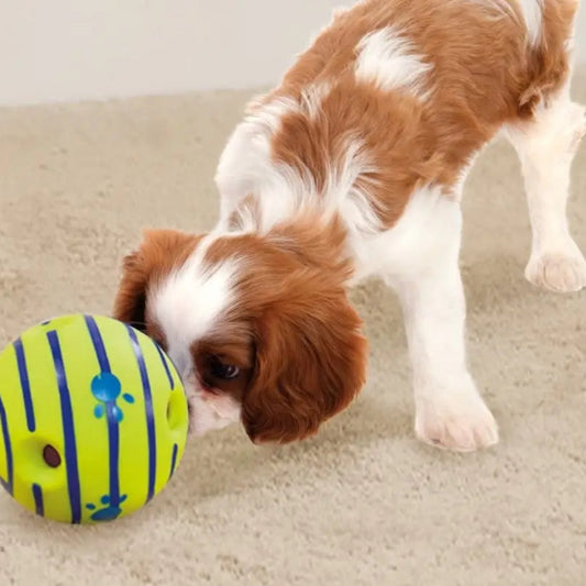 Wobbie Doggy Bal 🐶 | 1+1 Gratis!