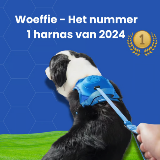 Woeffie Harnas